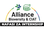 Internship Opportunities at CIAT October 2025