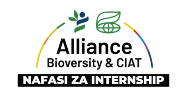 Internship Opportunities at CIAT October 2025