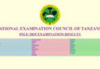 NECTA PSLE Results 2025