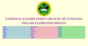 NECTA PSLE Results 2025