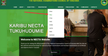 NECTA PSLE Results 2025 All Region Released Check Now