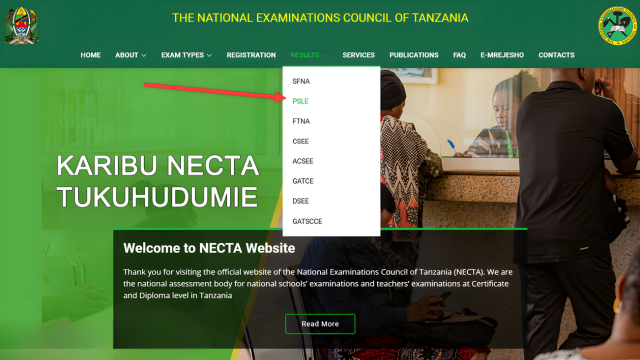 NECTA PSLE Results 2025 All Region Released Check Now