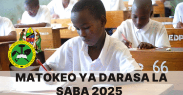 NECTA Standard Seven Results 2025