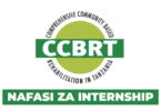 Procurement Officer Intern at CCBRT October 2025