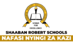 Shaaban Robert School 13 Vacancies October 2025