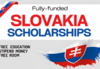 Slovakia National Scholarships for International Students 20262027