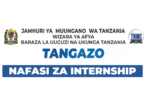 TNMC Graduate Internship 2025