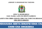 Tanzania Hikes Private Sector Minimum Wage by 33%