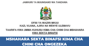 Tanzania Hikes Private Sector Minimum Wage by 33%