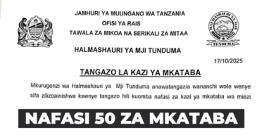 Tunduma Town Council 50 Contract Vacancies October 2025