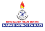 Fire & Rescue Force Tanzania Vacancies 2025