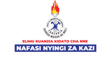 Fire & Rescue Force Tanzania Vacancies 2025