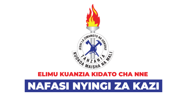 Fire & Rescue Force Tanzania Vacancies 2025