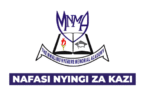 Mwalimu Nyerere Memorial Academy (MNMA) Vacancies November 2025