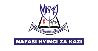 Mwalimu Nyerere Memorial Academy (MNMA) Vacancies November 2025