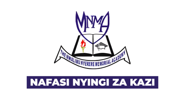 Mwalimu Nyerere Memorial Academy (MNMA) Vacancies November 2025