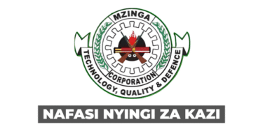 Mzinga Corporation Vacancies November 2025