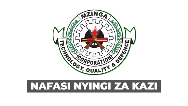 Mzinga Corporation Vacancies November 2025