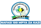 NIDA Tanzania Vacancies November 2025