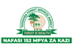 Tanzania Forest Services Agency (TFS) Vacancies November 2025