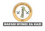 Tanzania Institute of Geology and Mineral Research (GST) Vacancies 2025