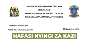 Temeke Municipal Council Vacancies November 2025