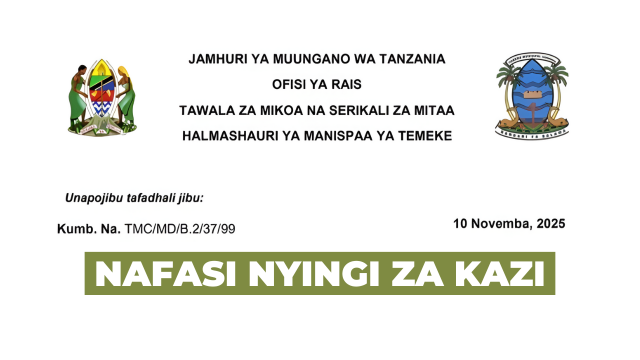 Temeke Municipal Council Vacancies November 2025