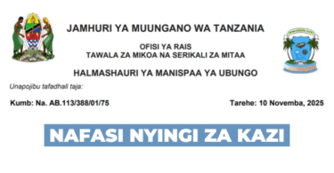 Ubungo Municipal Council Vacancies November 2025