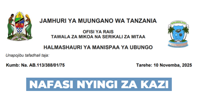 Ubungo Municipal Council Vacancies November 2025