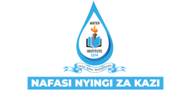 Water Institute (WI) Vacancies November 2025