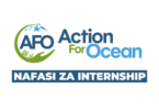 Action For Ocean (AFO) Internship January 2026