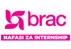 BRAC Maendeleo Internship January 2026
