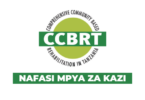 CCBRT Tanzania Vacancies 2026