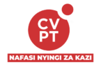 CV People Tanzania Vacancies 2026