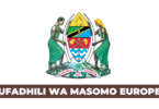 European MEIG Scholarship 2026 for Tanzanian Students