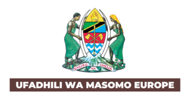 European MEIG Scholarship 2026 for Tanzanian Students