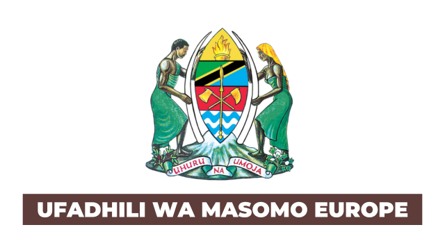 European MEIG Scholarship 2026 for Tanzanian Students