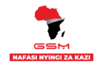 GSM Group Vacancies 2026