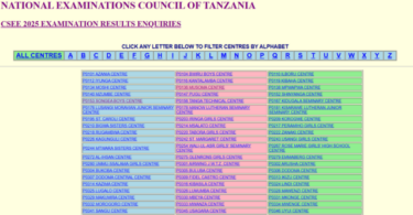 Haya Hapa Matokeo ya Kidato cha Nne 2025