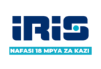 Iris Construction Zanzibar 18 Vacancies January 2026