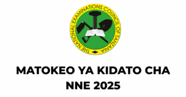 NECTA matokeo ya Kidato cha Nne 2025