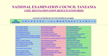 NECTA Releases Form Four Results 2025