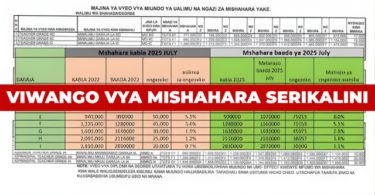 New 2025 Viwango vipya vya Mishahara Serikalini | Salary Scale