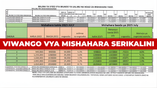New 2025 Viwango vipya vya Mishahara Serikalini | Salary Scale