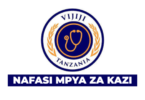 Project Physiotherapist Vacancy at Vijiji Tanzania 2026