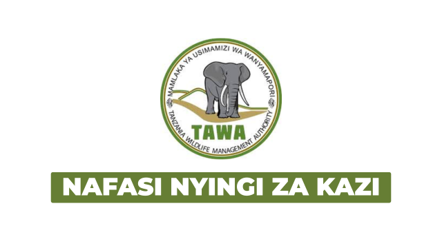 TAWA Vacancies January 2026