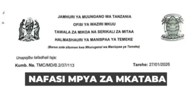 Temeke Municipal Council Contract Vacancy January 2026