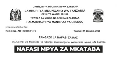 Ubungo Municipal Council Contract Vacancies 2026