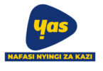 YAS Tanzania Vacancies 2026