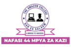 Amazon College Tanzania 44 Vacancies February 2026